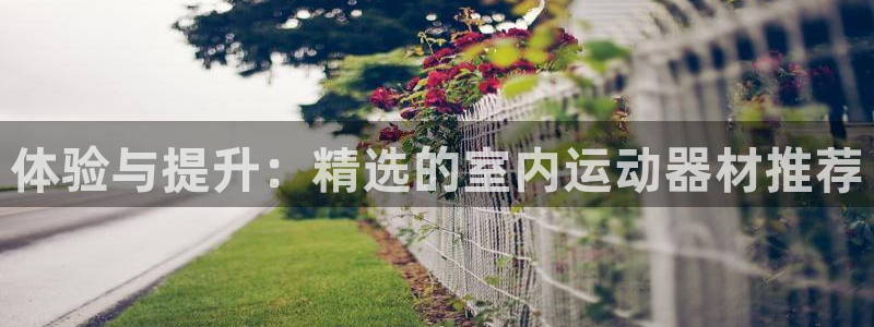 意昂体育4平台：体验与提升：精选的室内运动器材推荐
