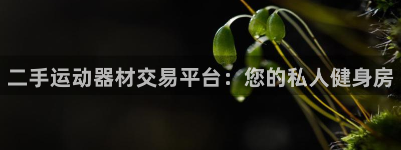 意昂体育4软件：二手运动器材交易平台：您的私人健身房