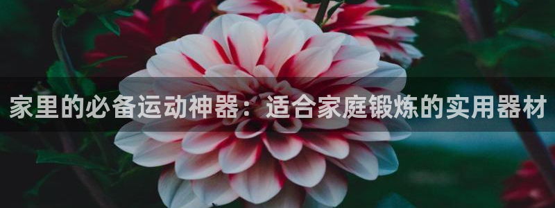 意昂体育4招商电话号码是多少啊：家里的必备运动神器：适合家庭