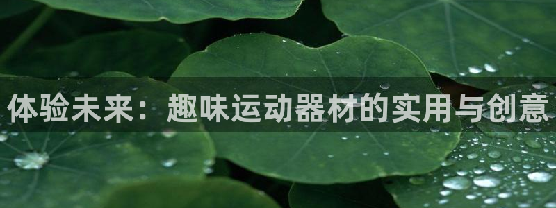 意昂体育4平台假的吗是真的吗：体验未来：趣味运动器材