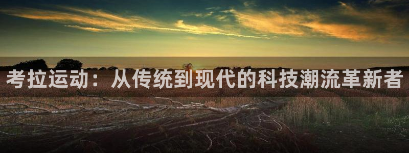 意昂体育4招商电话是多少号码：考拉运动：从传统到现代