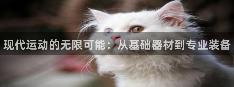 意昂平台体育：现代运动的无限可能：从基础器材到专业装