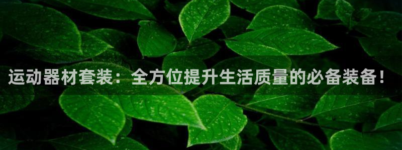 意昂体育4平台是正规平台吗：运动器材套装：全方位提升