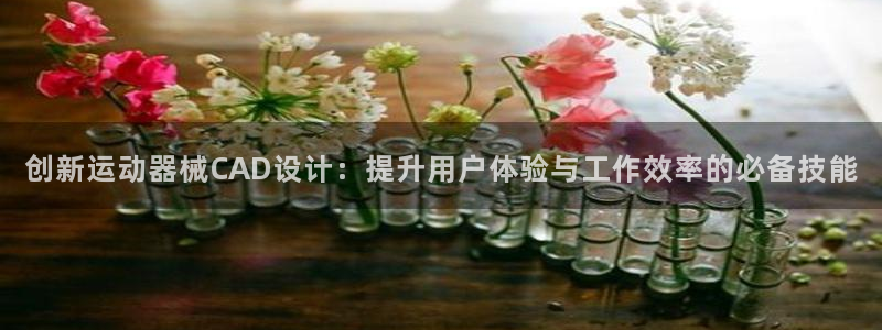 意昂体育4平台注册流程图：创新运动器械CAD设计：提