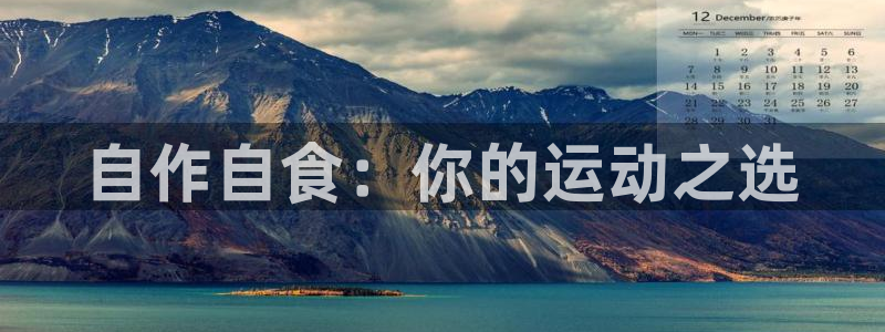 意昂4新能源：自作自食：你的运动之选