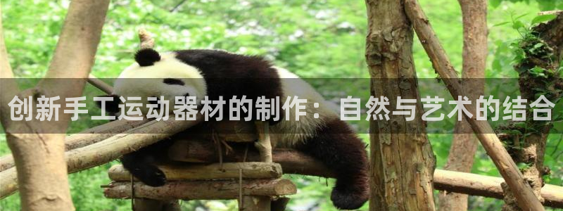 意昂4科技：创新手工运动器材的制作：自然与艺术的结合