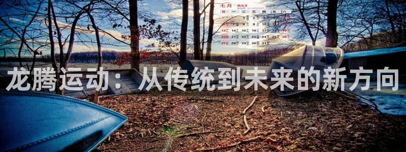 意昂体育4平台注册流程视频：龙腾运动：从传统到未来的