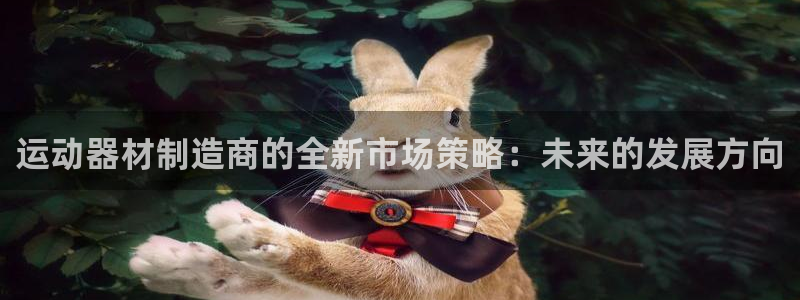 意昂体育4是干嘛的公司：运动器材制造商的全新市场策略