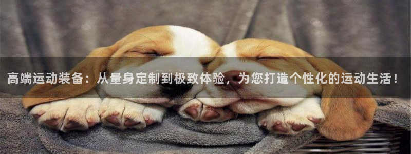 意昂4新能源：高端运动装备：从量身定制到极致体验，为