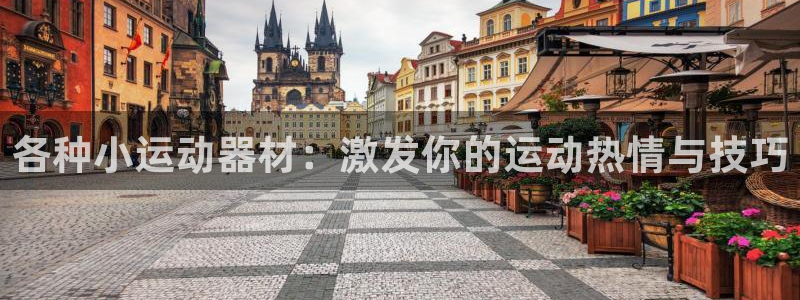 意昂4五金厂：各种小运动器材：激发你的运动热情与技巧