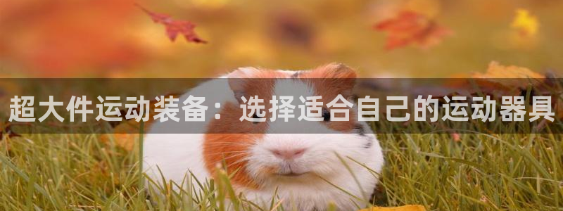 意昂4集团官网首页网址：超大件运动装备：选择适合自己