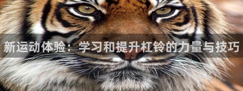 意昂体育4平台注册要钱吗安全吗：新运动体验：学习和提