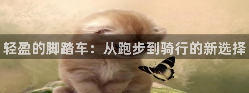 意昂4娱乐是那个系列的台子：轻盈的脚踏车：从跑步到骑