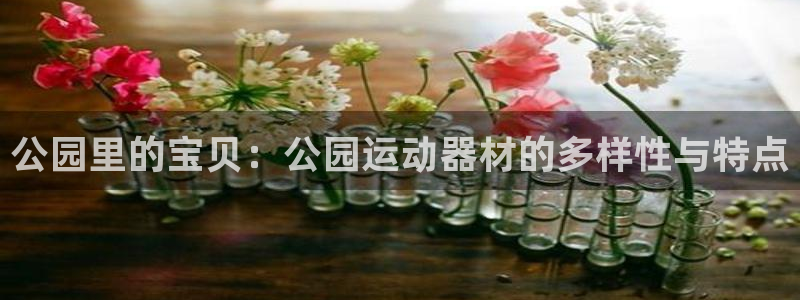 意昂体育4官方客服电话：公园里的宝贝：公园运动器材的