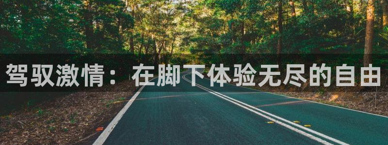 意昂体育4招商电话号码是多少：驾驭激情：在脚下体验无