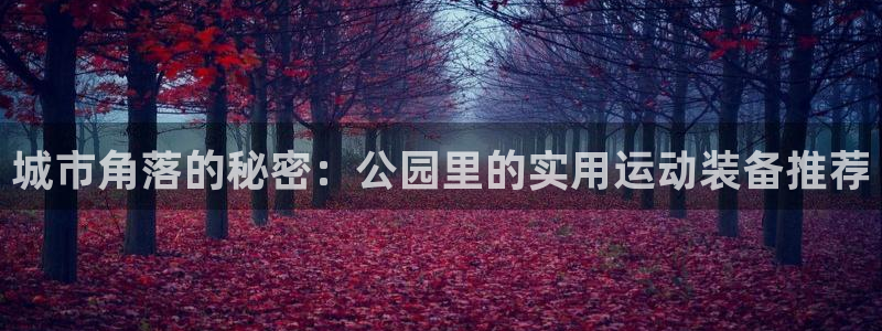 意昂集团官网：城市角落的秘密：公园里的实用运动装备推