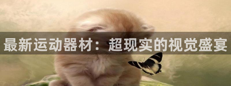 意昂体育4平台假的吗是真的吗：最新运动器材：超现实的