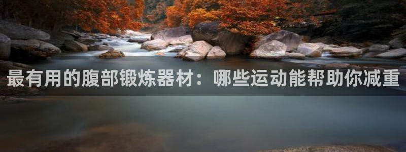 意昂4娱乐首页网站大全：最有用的腹部锻炼器材：哪些运