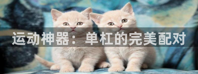 意昂4集团简介：运动神器：单杠的完美配对