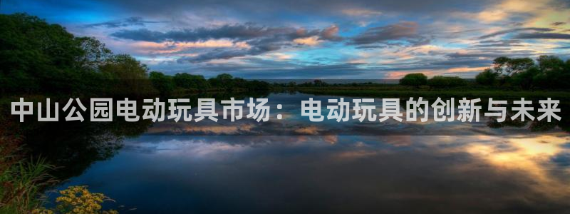 意昂体育4官方客服电话：中山公园电动玩具市场：电动玩