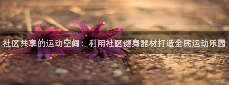意昂体育4是干嘛的公司：社区共享的运动空间：利用社区