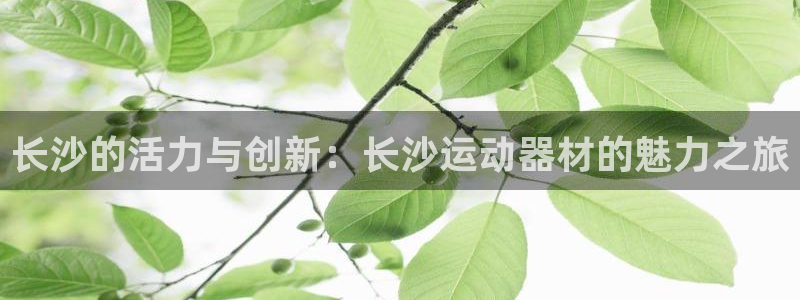 意昂体育4平台注册流程图：长沙的活力与创新：长沙运动