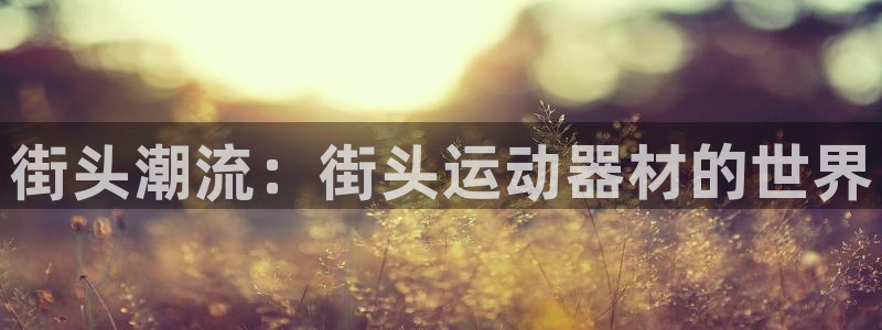 意昂集团官网：街头潮流：街头运动器材的世界