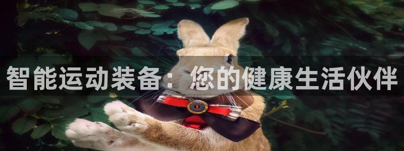 意昂体育4注册：智能运动装备：您的健康生活伙伴