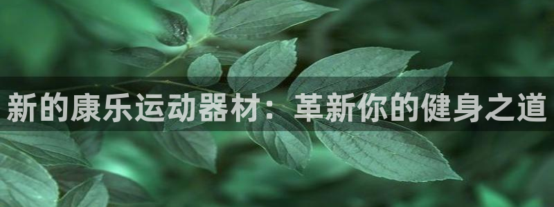 意昂4官方：新的康乐运动器材：革新你的健身之道