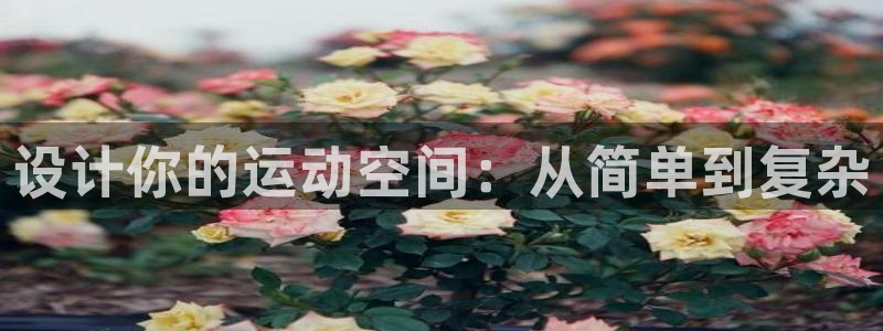 意昂体育4招商电话号码是多少号：设计你的运动空间：从