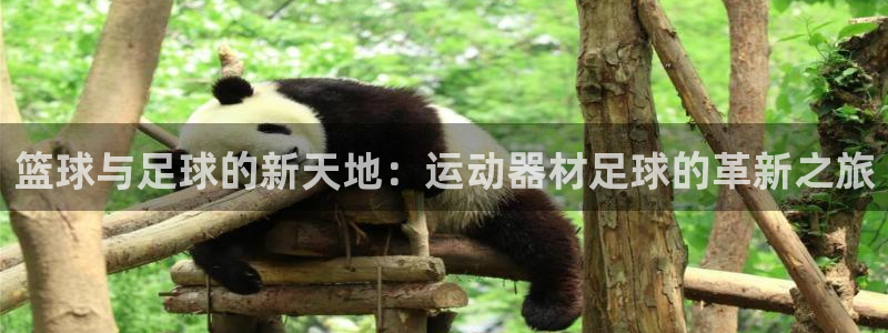 海南意昂体育4：篮球与足球的新天地：运动器材足球的革