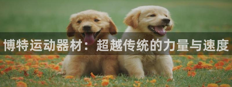 意昂体育4招商电话是多少：博特运动器材：超越传统的力