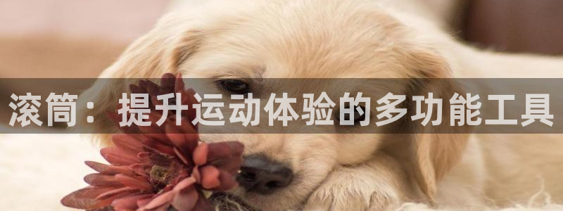 意昂4娱乐下载：滚筒：提升运动体验的多功能工具