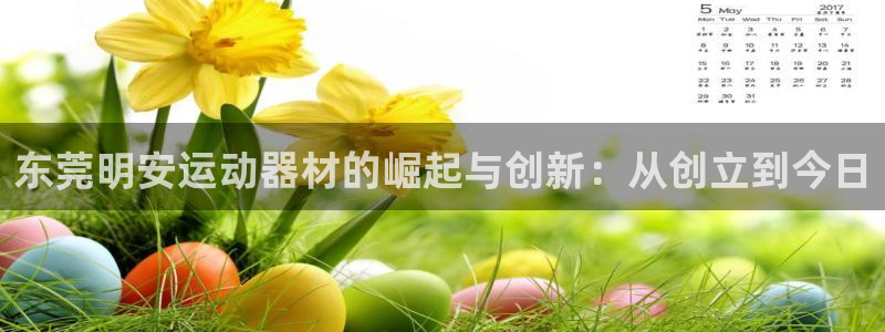 意昂体育4软件：东莞明安运动器材的崛起与创新：从创立