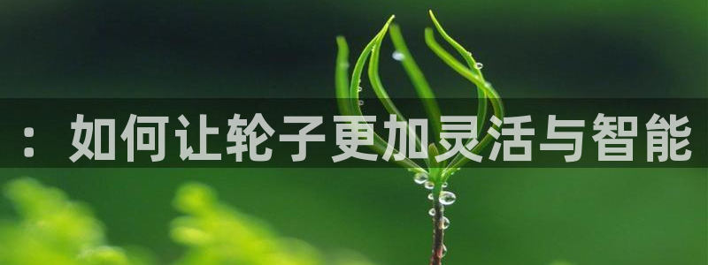 意昂体育4平台注册：：如何让轮子更加灵活与智能