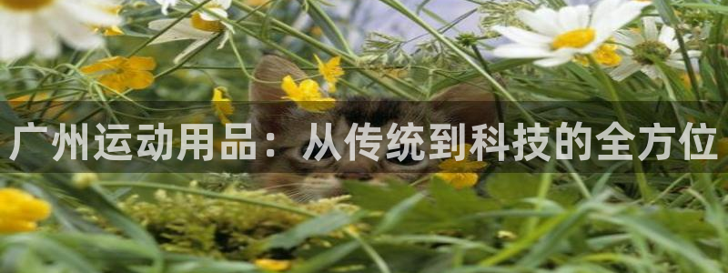 意昂体育4招商电话号码是多少啊：广州运动用品：从传统