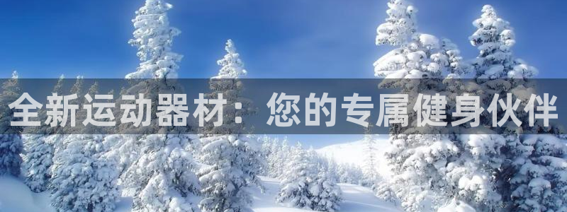 意昂体育4招商电话号码查询：全新运动器材：您的专属健
