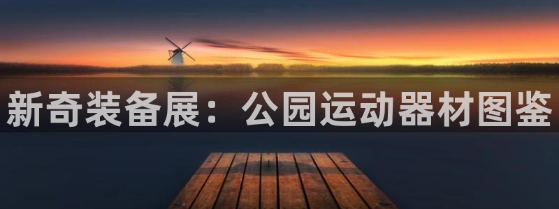 意昂4娱乐是那个系列的台子：新奇装备展：公园运动器材