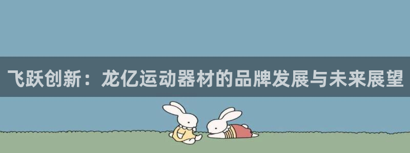 意昂4娱乐：飞跃创新：龙亿运动器材的品牌发展与未来展