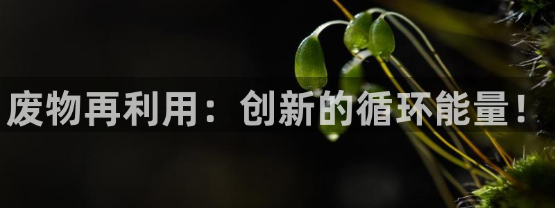 意昂体育4招商电话地址查询：废物再利用：创新的循环能