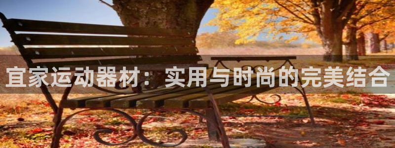 意昂集团官网：宜家运动器材：实用与时尚的完美结合