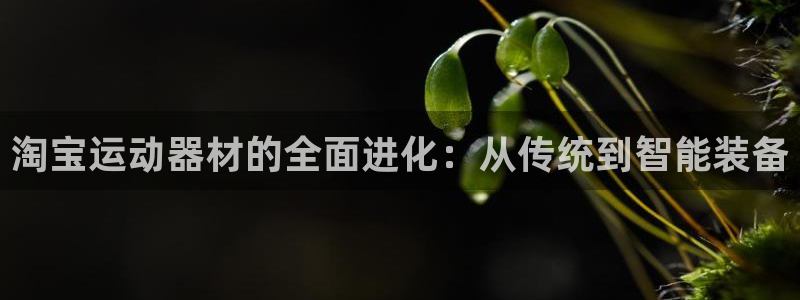 意昂体育4平台是正规平台吗知乎：淘宝运动器材的全面进化：从传