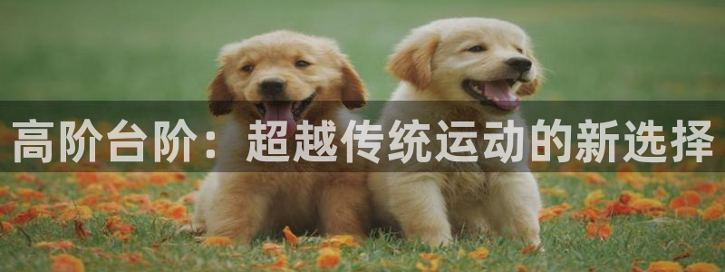 意昂体育4联系电话：高阶台阶：超越传统运动的新选择