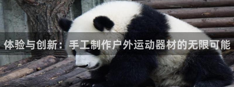 意昂体育4开户：体验与创新：手工制作户外运动器材的无